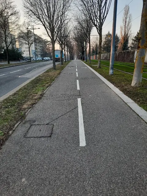 Photo 1 du compteur Avenue Franklin Roosevelt
