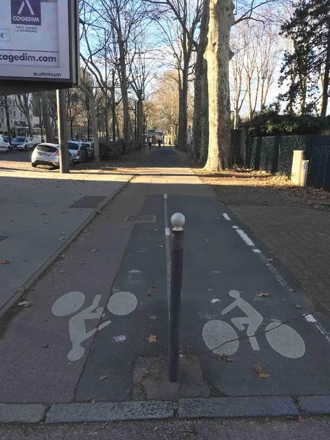 Photo 3 du compteur Boulevard du 11 Novembre 1918