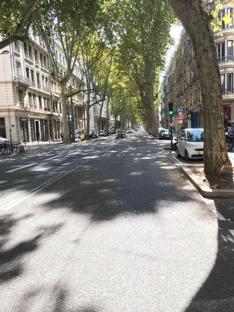 Photo 2 du compteur Avenue du Maréchal-de-Saxe