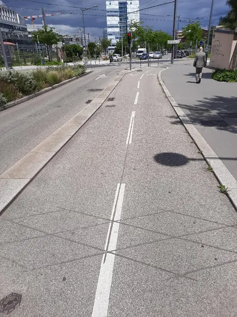 Photo 3 du compteur Rue du Général Mouton-Duvernet