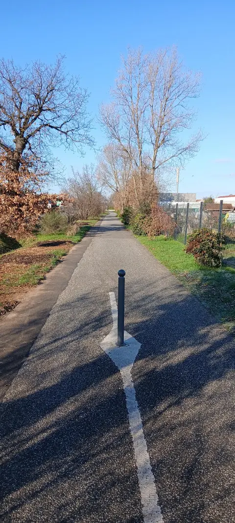 Photo 4 du compteur Avenue du Dauphiné - Chassieu