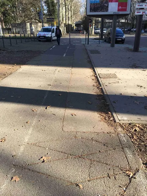 Photo 1 du compteur Boulevard du 11 Novembre 1918
