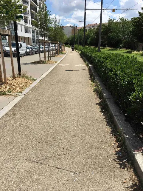 Photo 3 du compteur Rue Jean-Pierre Lévy