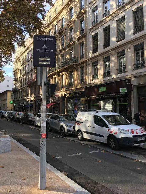 Photo 1 du compteur Rue de la Part-Dieu