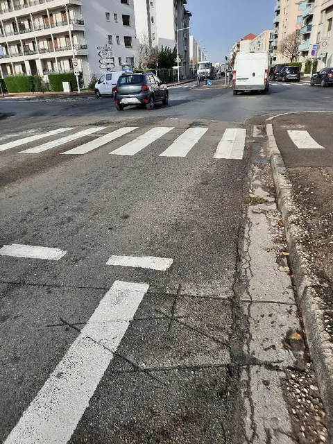 Photo 4 du compteur Avenue Francis de Pressensé